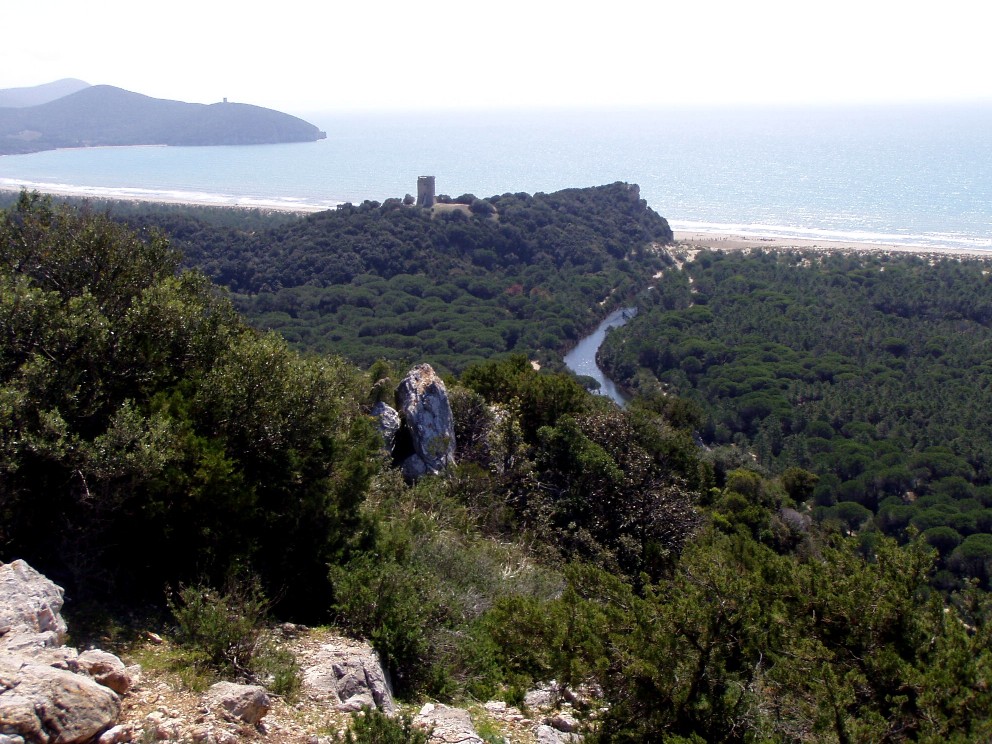 Parco dell''Uccellina - Torre di Collelungo